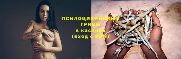 метадон Нея