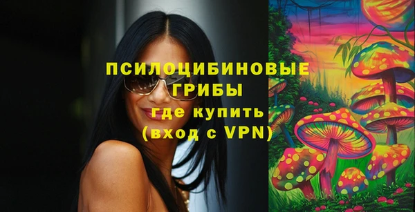 прущие грибы Абинск