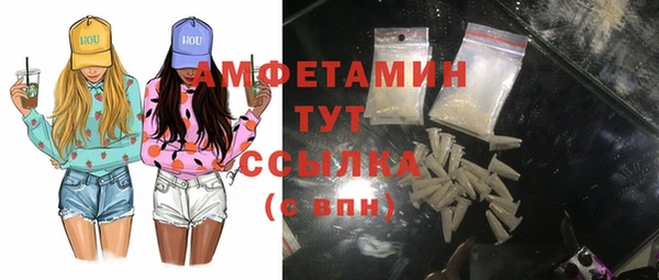 прущие грибы Абинск