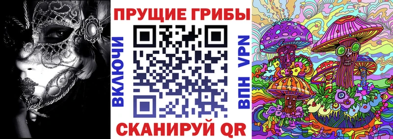 купить наркотик  Красавино  мега tor  Псилоцибиновые грибы Psilocybe 